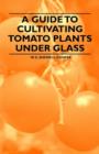Image for A Guide to Cultivating Tomato Plants Under Glass