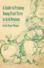 Image for A Guide to Pruning Young Fruit Trees in Arid Regions