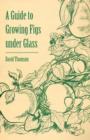 Image for A Guide to Growing Figs Under Glass