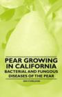 Image for Pear Growing in California - Bacterial and Fungous Diseases of the Pear