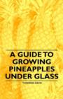 Image for A Guide to Growing Pineapples Under Glass