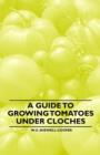 Image for A Guide to Growing Tomatoes Under Cloches