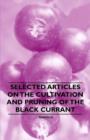 Image for Selected Articles on the Cultivation and Pruning of the Black Currant