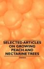 Image for Selected Articles on Growing Peach and Nectarine Trees