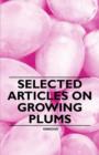 Image for Selected Articles on Growing Plums