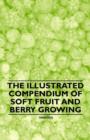 Image for The Illustrated Compendium of Soft Fruit and Berry Growing