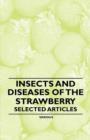 Image for Insects and Diseases of the Strawberry - Selected Articles