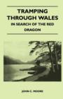 Image for Tramping Through Wales - In Search of the Red Dragon
