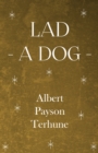Image for Lad - A Dog
