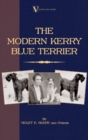 Image for Modern Kerry Blue Terrier (A Vintage Dog Books Breed Classic)