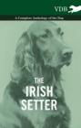 Image for Irish Setter - A Complete Anthology of the Dog.