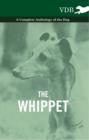 Image for Whippet - A Complete Anthology of the Dog.