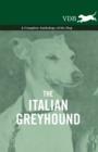 Image for Italian Greyhound - A Complete Anthology of the Dog.
