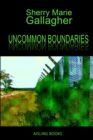 Image for Uncommon Boundaries
