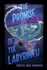 Image for Promise of the Labyrinth: Book Two of The Road To Remembering