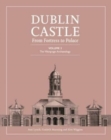 Image for Dublin Castle  : from fortress to palaceVolume 2,: The Viking-age archaeology
