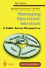 Image for Managing electronic services: a public sector perspective