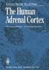Image for Human Adrenal Cortex: Pathology and Biology - An Integrated Approach