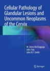 Image for Cellular Pathology of Glandular Lesions and Uncommon Neoplasms of the Cervix