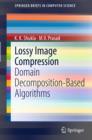 Image for Lossy Image Compression