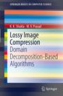 Image for Lossy image compression: domain decomposition-based algorithms