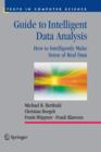 Image for Guide to intelligent data analysis  : how to intelligently make sense of real data