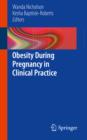 Image for Obesity During Pregnancy in Clinical Practice