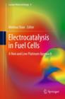 Image for Electrocatalysis in fuel cells  : a non and low platinum approach