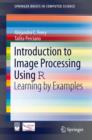 Image for Introduction to image processing using R: learning by examples