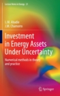 Image for Investment in energy assets under uncertainty  : numerical methods in theory and practice