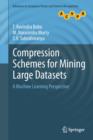 Image for Compression Schemes for Mining Large Datasets : A Machine Learning Perspective