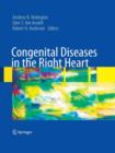 Image for Congenital Diseases in the Right Heart