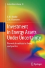 Image for Investment in Energy Assets Under Uncertainty