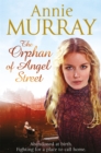 Image for Orphan of Angel Street