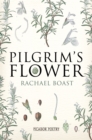 Image for Pilgrim&#39;s flower