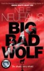 Image for Big bad wolf