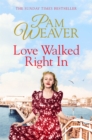 Image for Love Walked Right In