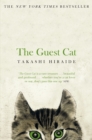 Image for The guest cat
