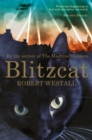 Image for Blitzcat