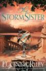 Image for The storm sister  : Ally&#39;s story