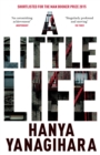 Image for A Little Life