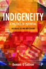 Image for Indigeneity: A Politics of Potential