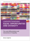 Image for Understanding equal opportunities and diversity: the social differentiations and intersections of inequality