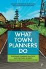 Image for What town planners do  : exploring planning practices and the public interest through workplace ethnographies