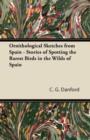 Image for Ornithological Sketches from Spain - Stories of Spotting the Rarest Birds in the Wilds of Spain
