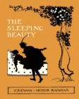 Image for The Sleeping Beauty - Illustrated by Arthur Rackham