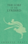 Image for Lore of the Lyrebird