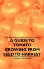Image for Guide to Tomato Growing from Seed to Harvest