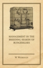Image for Management in the Breeding Season of Budgerigars