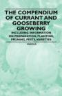 Image for Compendium of Currant and Gooseberry Growing - Including Information on Propagation, Planting, Pruning, Pests, Varieties.